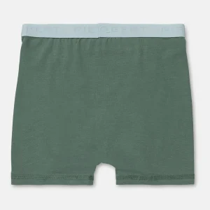 New Boxershorts I Bomull Liten Gutt Barn Undertøy