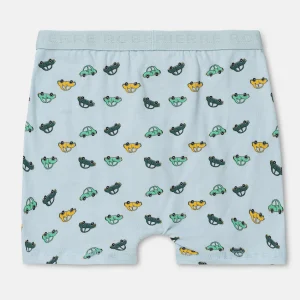 New Boxershorts I Bomull Liten Gutt Barn Undertøy